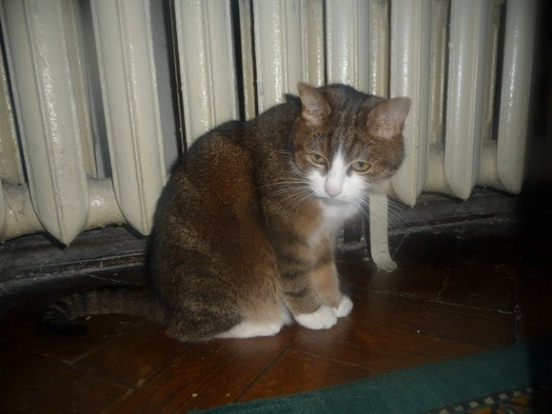 В Краснодаре из-за аварии более 160 жилых домов остались без тепла