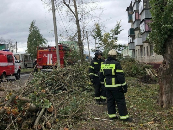 Власти ввели режим ЧС из-за обнаруженной в центре Белгорода авиабомбы
