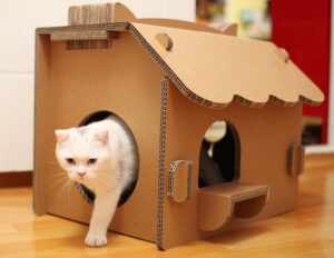 Для чего нужен картонный дом для кота?